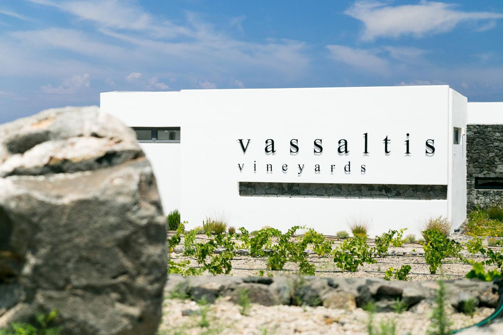 vassaltis vineyards vignoble winery santorini santorin rézin rezin