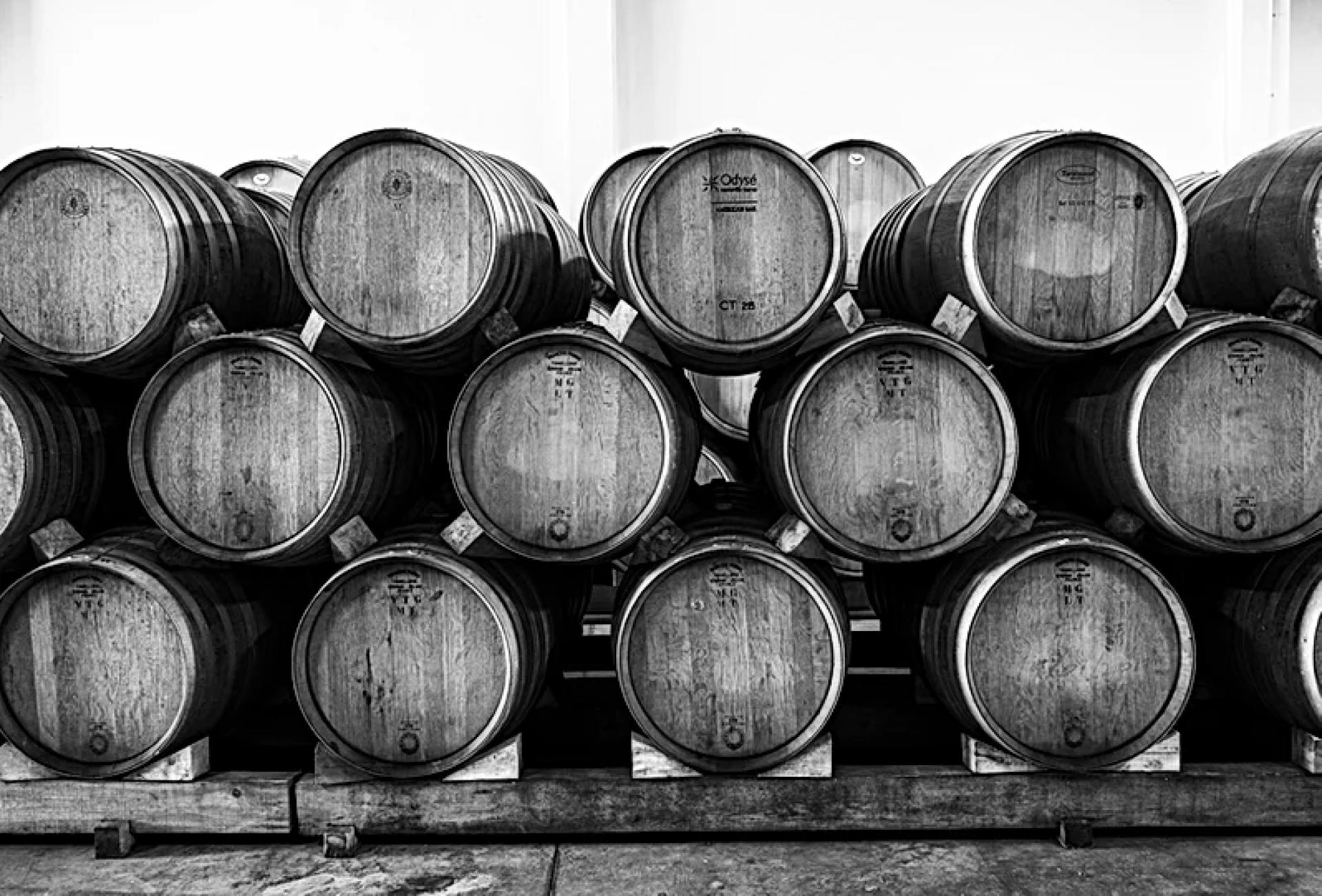 Chai Vadio Wines Unipessoal bairrada portugal vins et mousseux portugais réZin