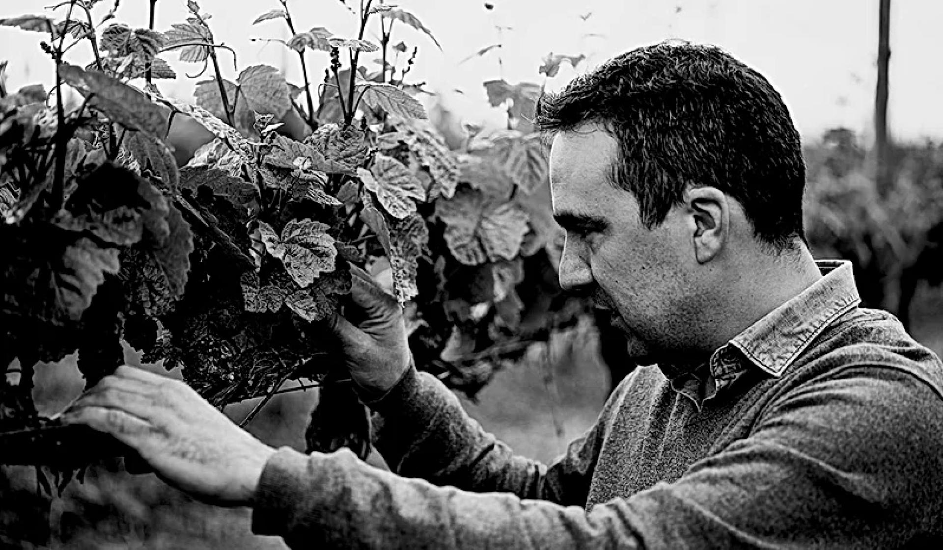 Vadio Wines Unipessoal bairrada portugal vins et mousseux portugais réZin