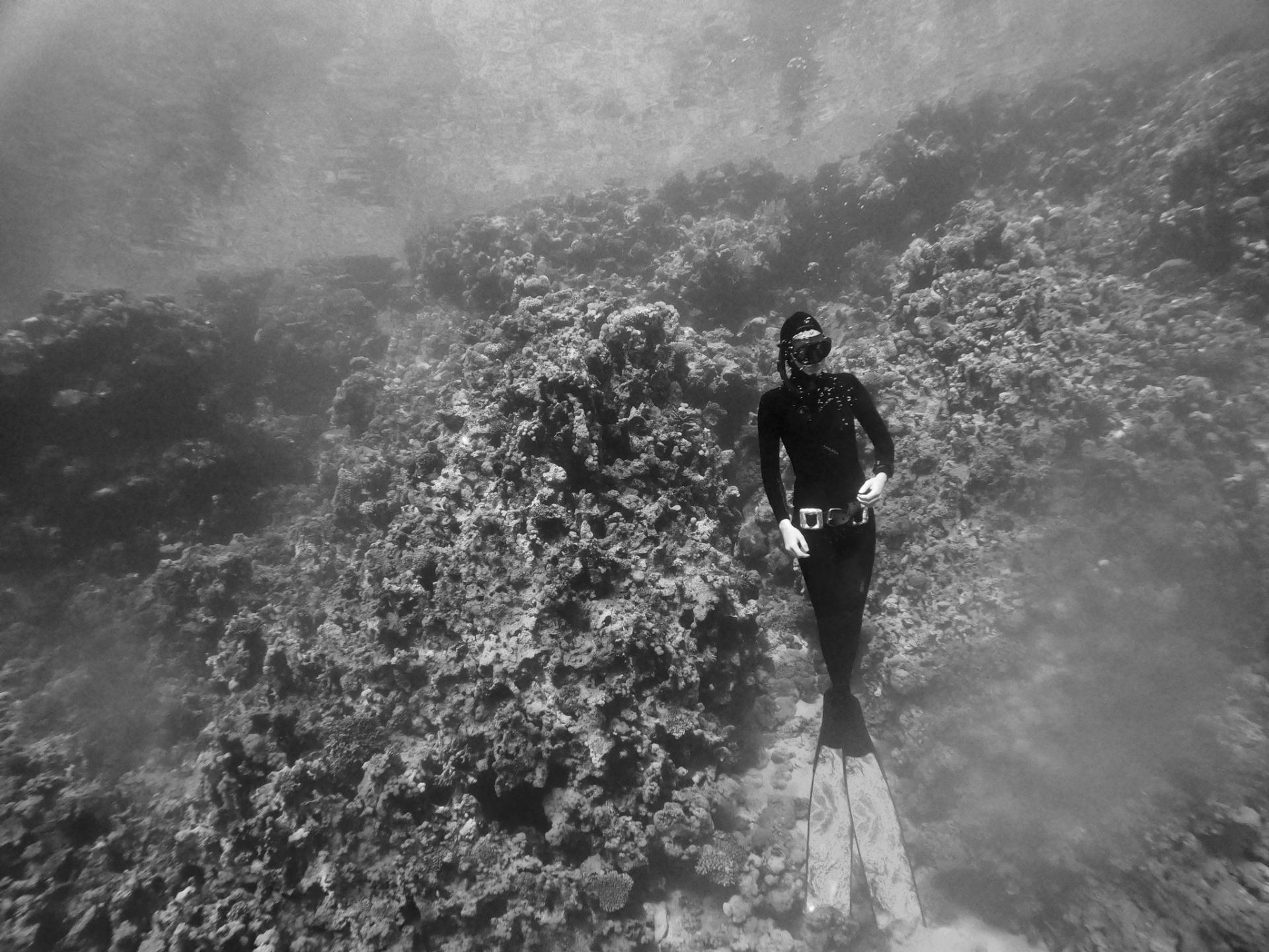 Laisse toi guider réZin vin beatrice laberge apnee