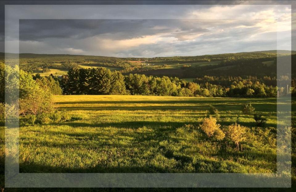 jean-françois pelchat réZin vinaigre vin