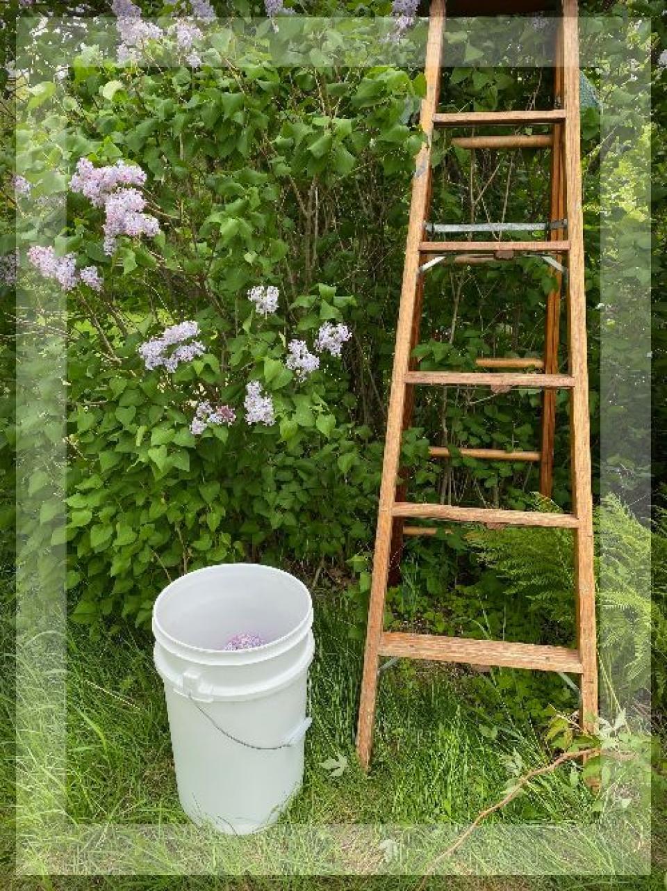 jean-françois pelchat réZin vinaigre vin terroir