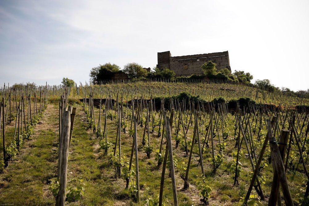 Domaine des Vins de Vienne  réZin